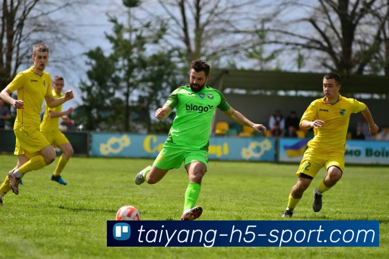 太阳城APP 封面图